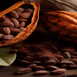 Le cacao camerounais : au bord du goufre ?