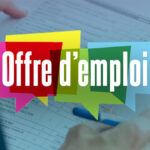 WWF Cameroun recrute un Primate Monitoring Officer