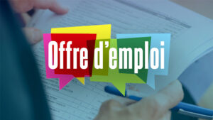 WWF Cameroun recrute un Primate Monitoring Officer