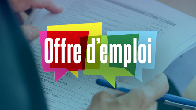 WWF Cameroun recrute un Primate Monitoring Officer